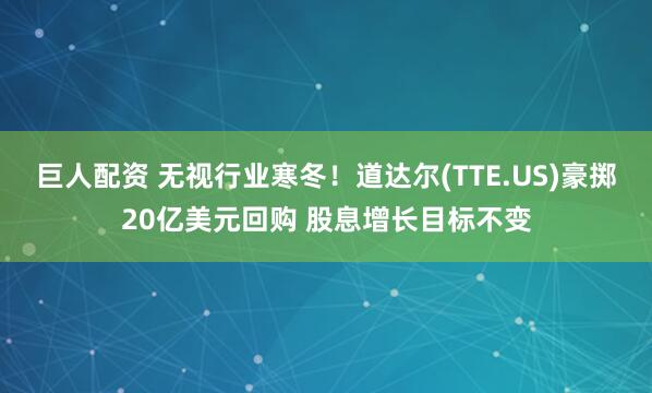 巨人配资 无视行业寒冬！道达尔(TTE.US)豪掷20亿美元回购 股息增长目标不变
