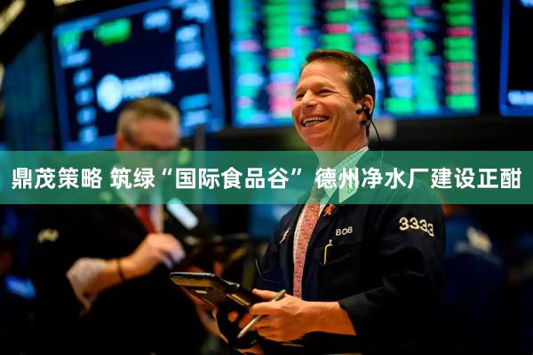 鼎茂策略 筑绿“国际食品谷” 德州净水厂建设正酣