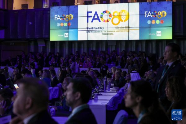 盟配资 联合国粮农组织举行世界粮食日暨成立80周年庆祝活动